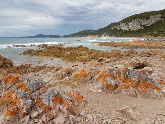 Rocky Cape