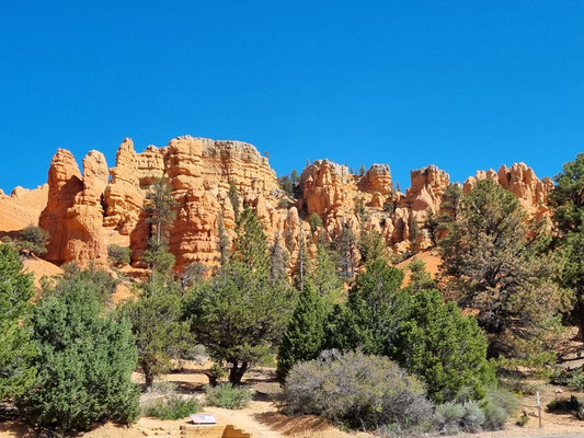 Stopp im Red Canyon