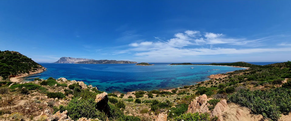 Capo Coda Cavallo