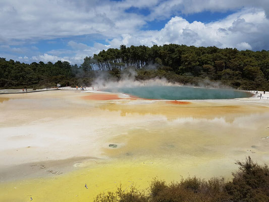 Champagne Pool