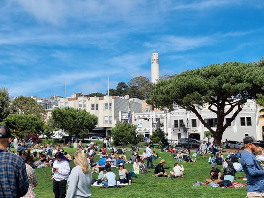 Washington Square mit Coit Tower