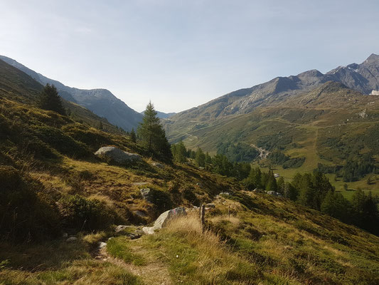 Blick zur Splügen-Passhöhe