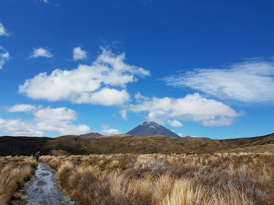 Mt. Ngauruhoe - letzte Eruption 1977