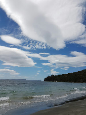 Fluted Cape Walk