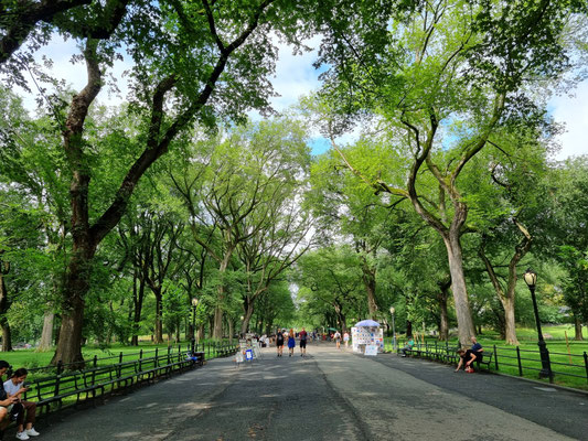 Central Park