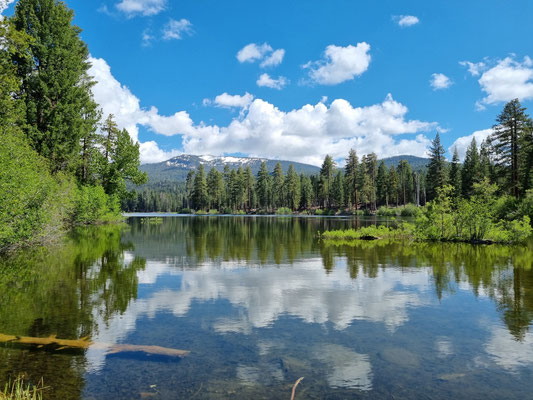 Lake Manzanita