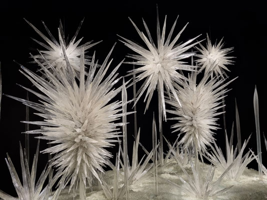 Chihuly Garden and Glass