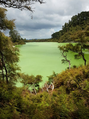 Lake Ngakoro
