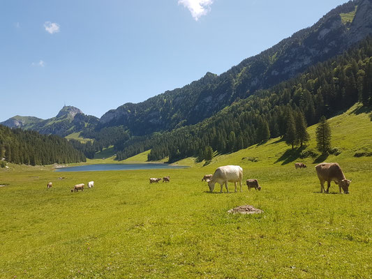Sämtisersee