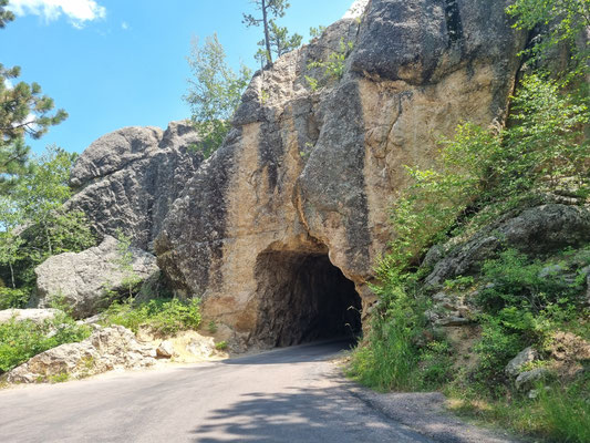 Iron Mountain Road