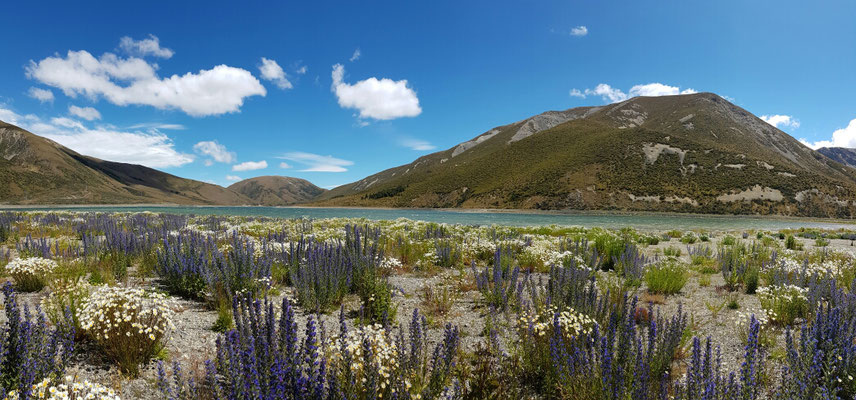 Lake Lyndon