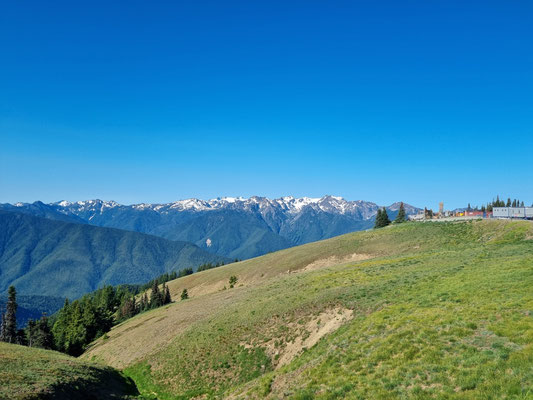 Hurrican Ridge