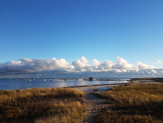 Cape Cod - Hyannis