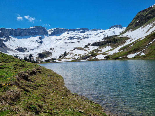 Waldisee