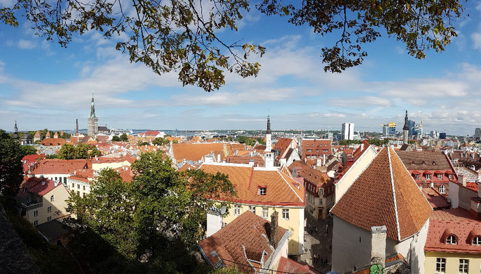 Kohtuotsa-Aussichtsplattform