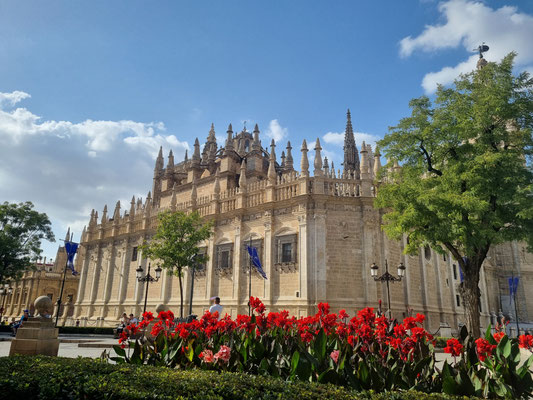Catedral de Santa Maria de la Sede