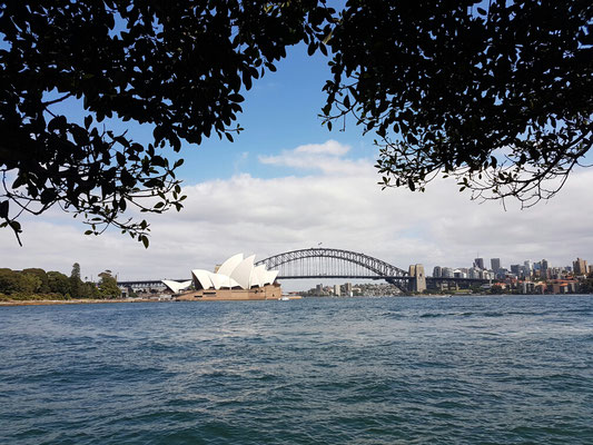 Royal Botanic Garden Sydney