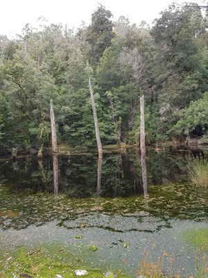 Sinkhole