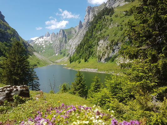 Fälensee