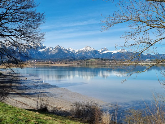 Blick zurück nach Füssen, Forggensee