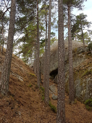 Im Tiveden Nationalpark