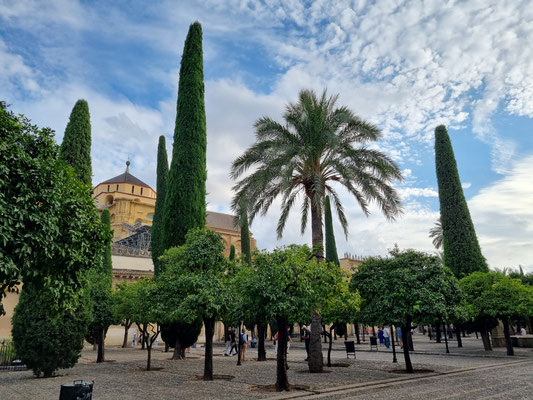 im Innenhof der Mezquita-Catedral