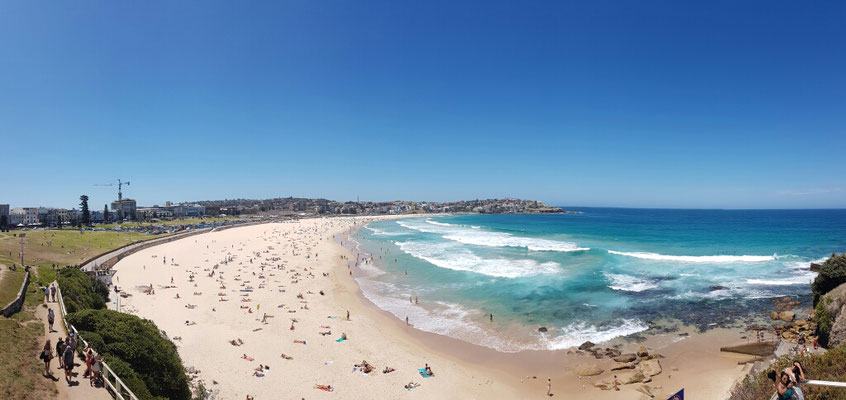 Bondi Beach
