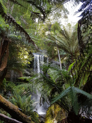 Russell Falls