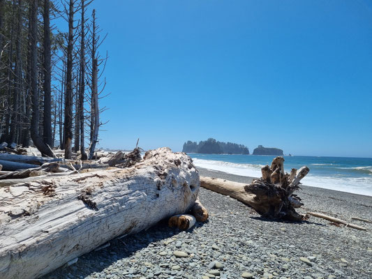 Rialto Beach