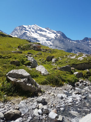 Doldenhorn