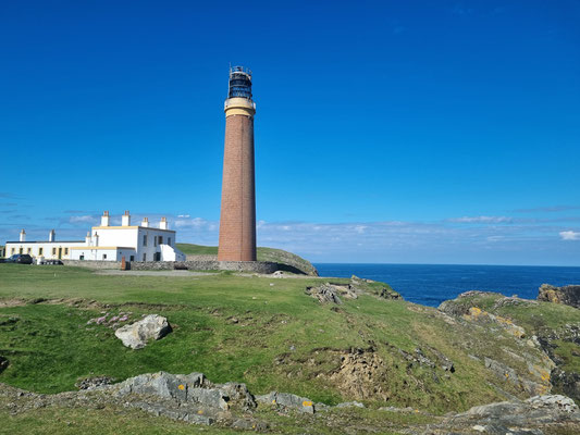 Butt of Lewis