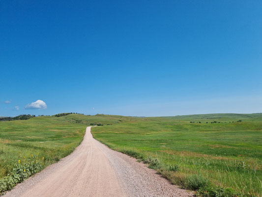 Wildlife Loop