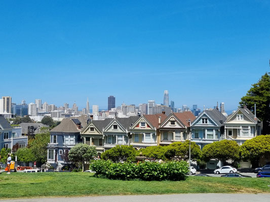 Painted Ladies