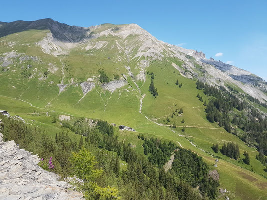 Allmenalp