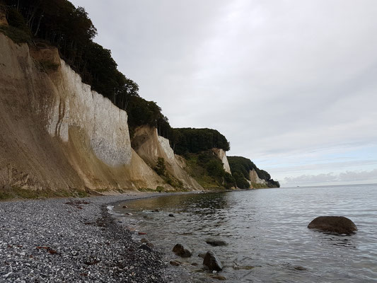 Jasmunds Kreideküste