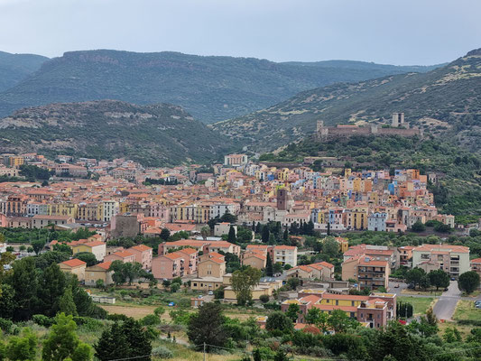 Bosa