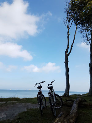 Mit dem Fahrrad gehts von Kühlungsborn durch den Gespensterwald nach Nienhagen