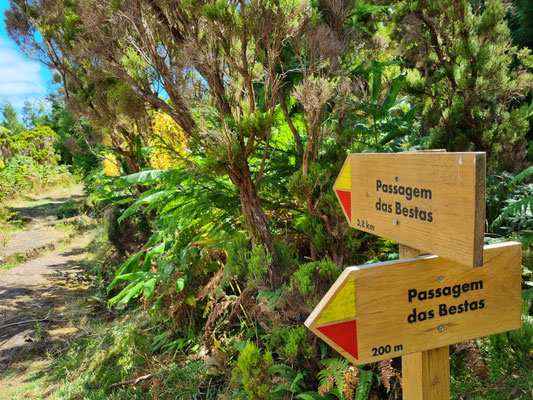 nächste Wanderung, neue Landschaft
