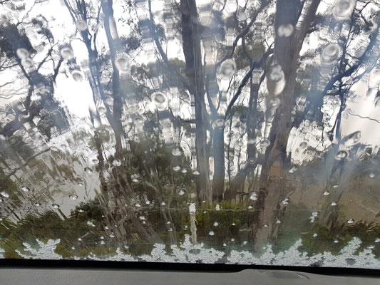 Schneeregen und Graupelschauer am Lake Dobson...