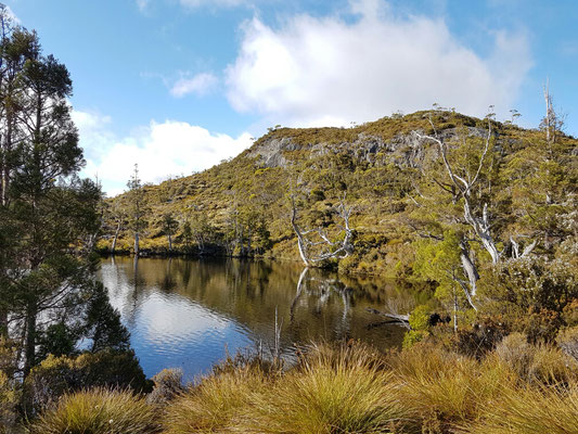 Wombat Pool
