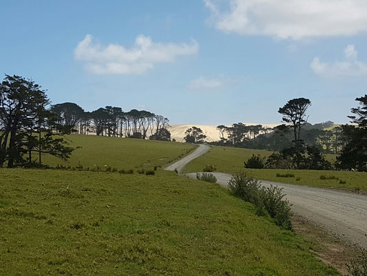 Te Paki Sand Dunes