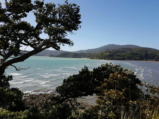 Tucks Bay