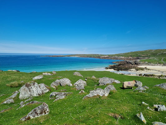 Mealasta Bay