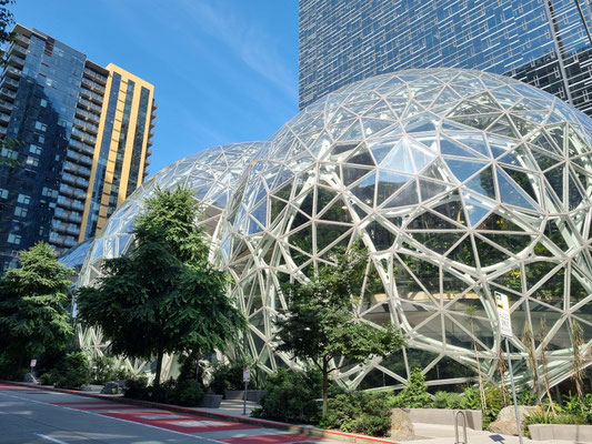 The Amazon Spheres