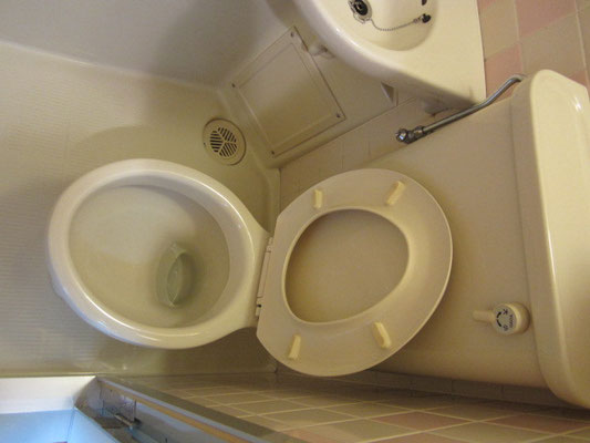 トイレクリーニング