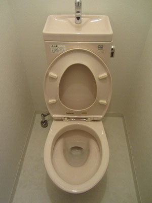 トイレクリーニング