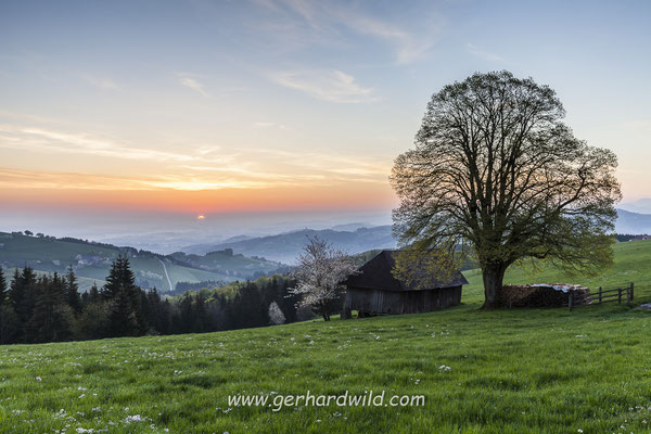 Mostviertel, Niederösterreich, Österreich