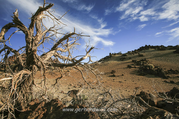 Las Canadas, Teneriffa, Spanien