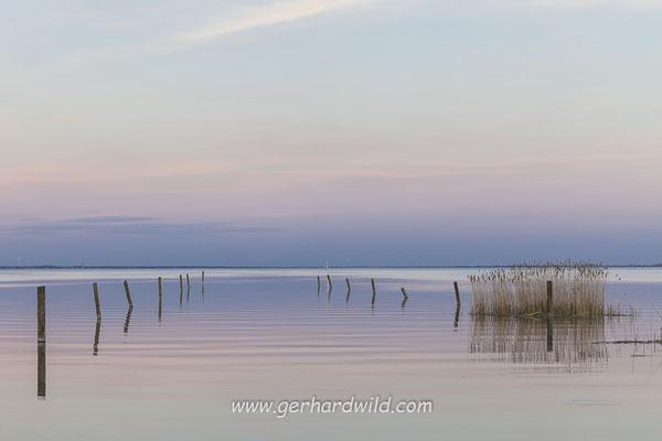 Neusiedler See, Burgenland, Österreich