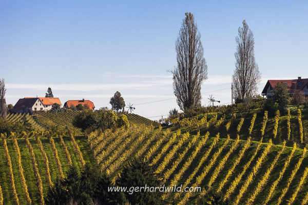 Südsteirische Weinstraße, Steiermark, Österreich
